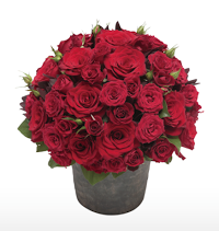 Belle de Jour Florist   Nationwide next day flowers delivery 1084822 Image 9